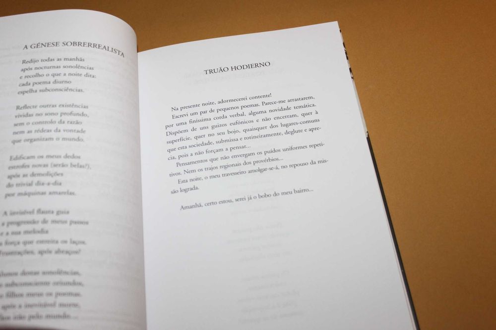 A  Inevitável Ave de Rapina...Tito Iglesias -POEMAS