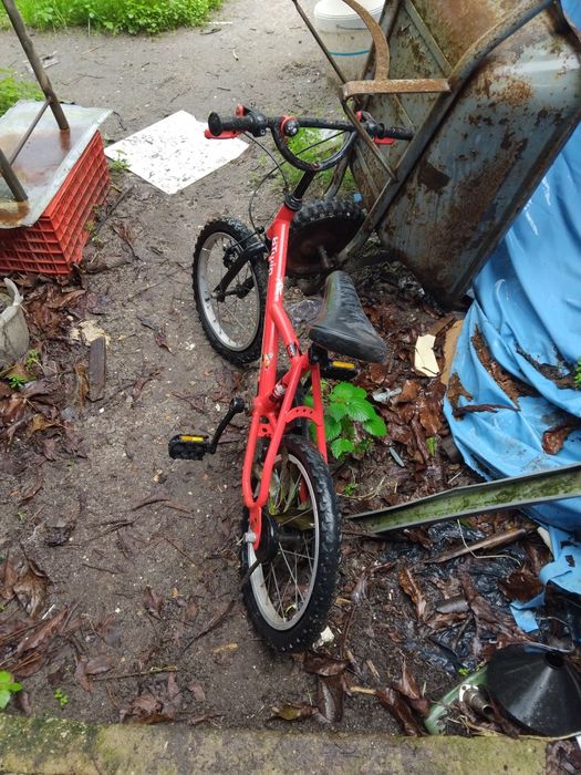 Bicicleta de criança , menino