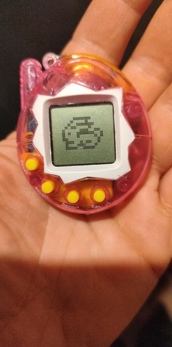 Tamagotchi królik