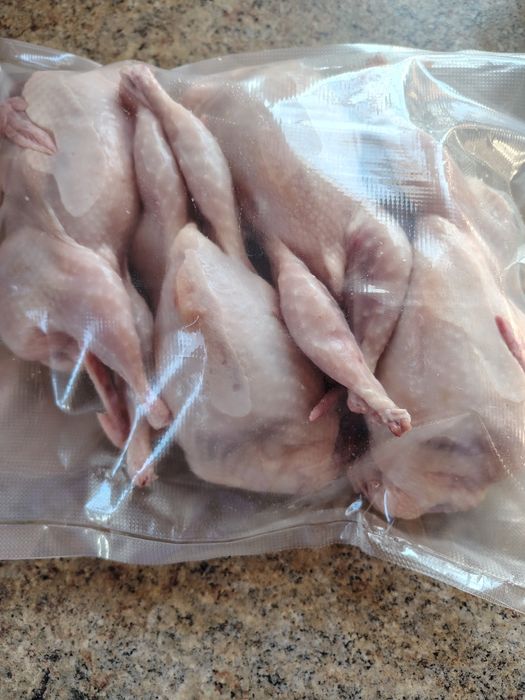 Продам мясо перепёлки (ОПТ, розница)