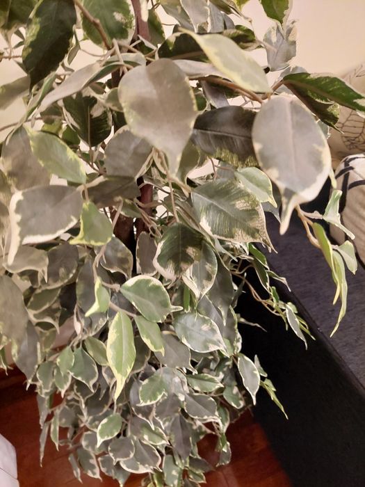 Vaso grande com planta artificial