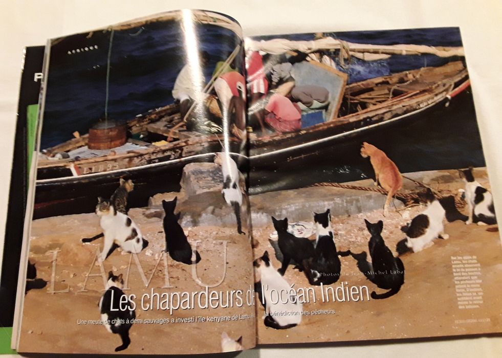 Revista GEO Hors-Série 33 H "Chats du Monde" 2009