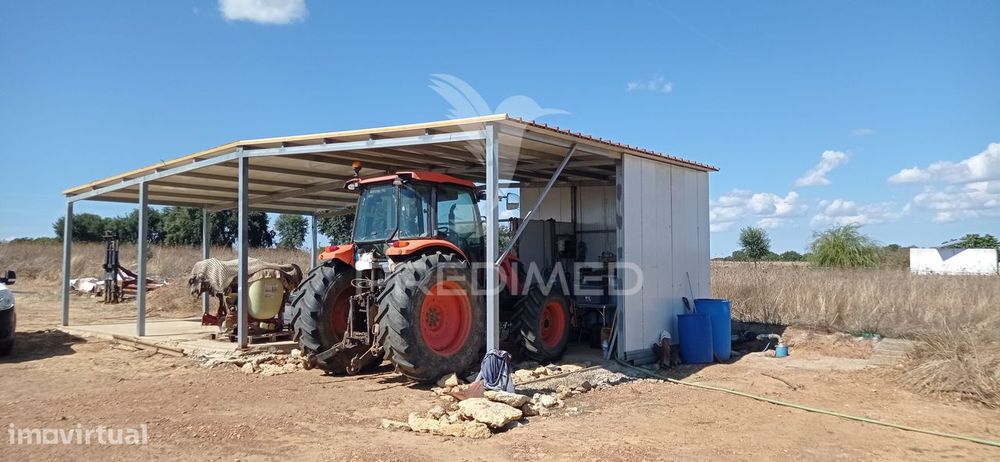 Olival Super Intensivo de 5,9ha à venda em Cano- Sousel