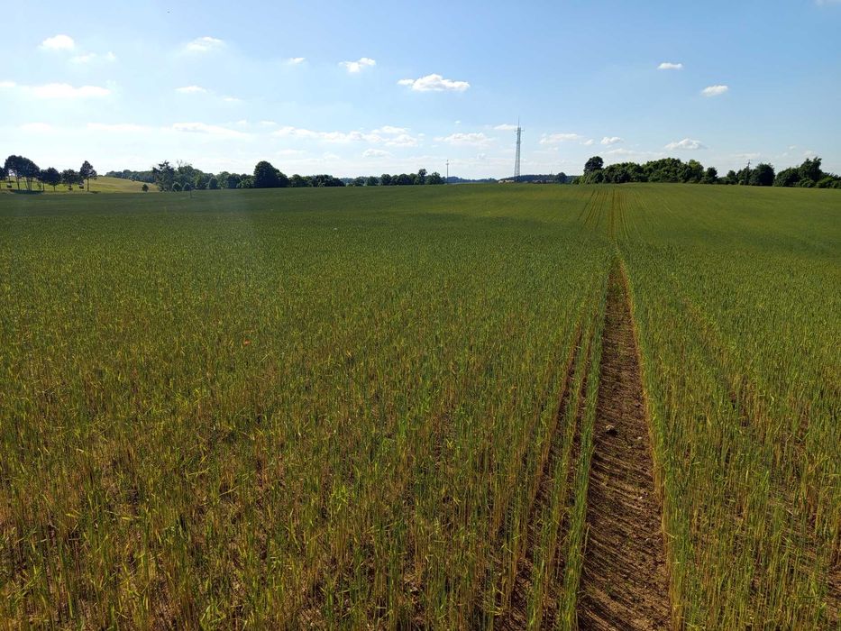 Ziemia nieruchomość działki - View 4