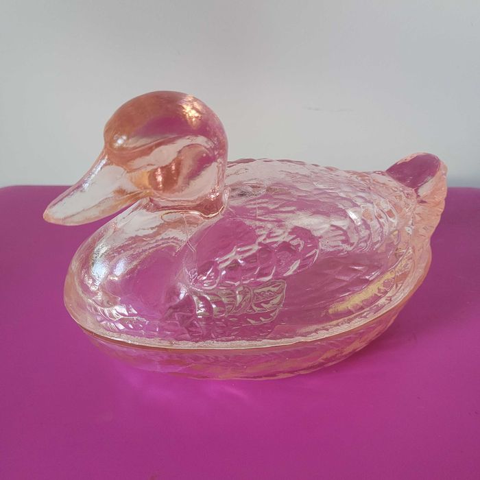 Kaczka Ząbkowice Śląskie