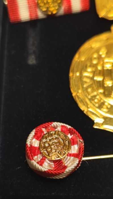 MEDALHA MILITAR SERVIÇOS DISTINTOS GRAU OURO com PALMA