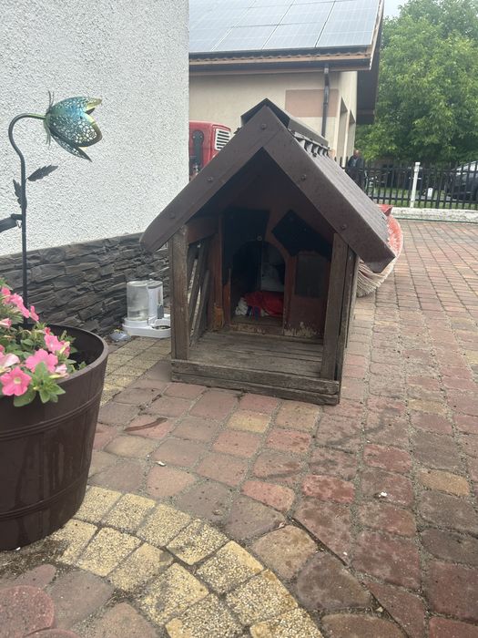 Buda dla psa mała