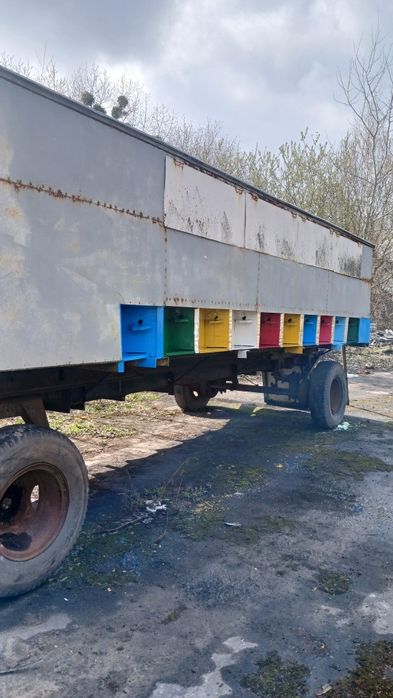 Павільон для бджіл