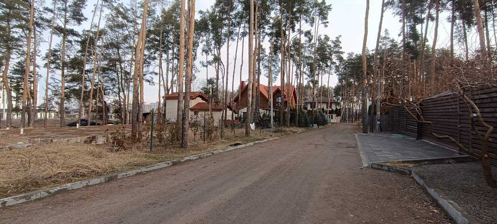 Ділянка серед сосен, 8 соток, нові будинки.