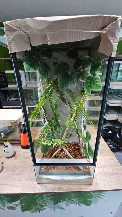 Terrarium z wystrojem 60x40x40 lub 40x40x60