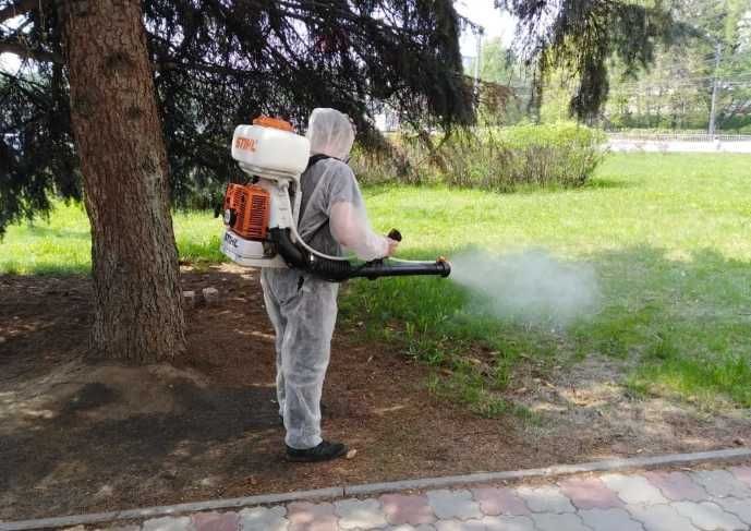 Дезінфекція квартир від шкідників кліщів клопів з гарантією