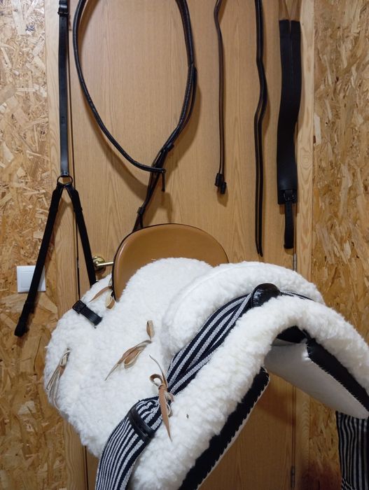 Vendo montura completa