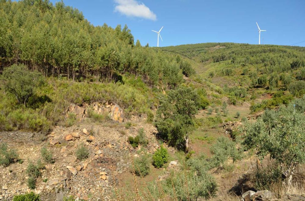 Casa antiga e terreno