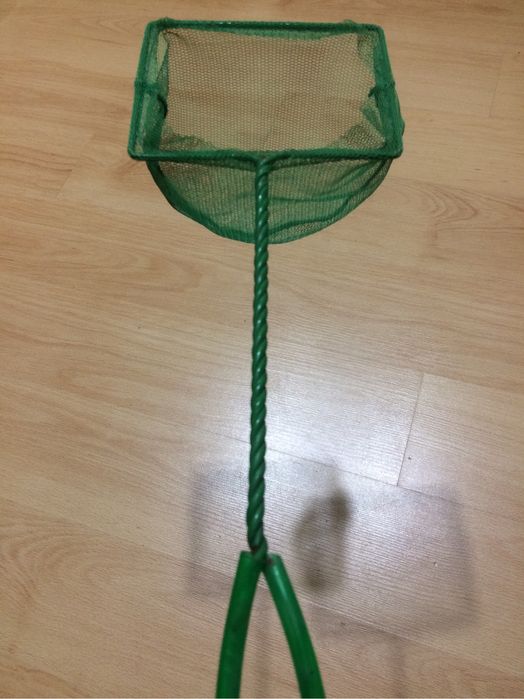 Guelrito para aquario