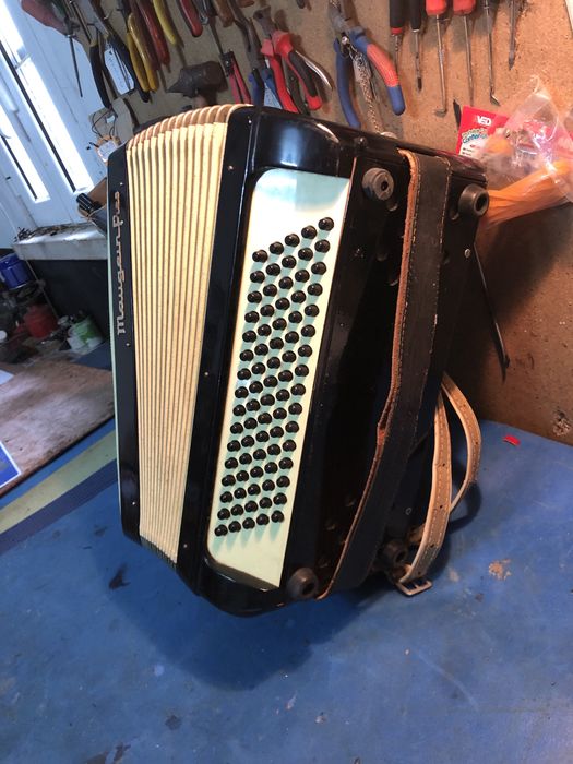 Acordeon MougeinFres