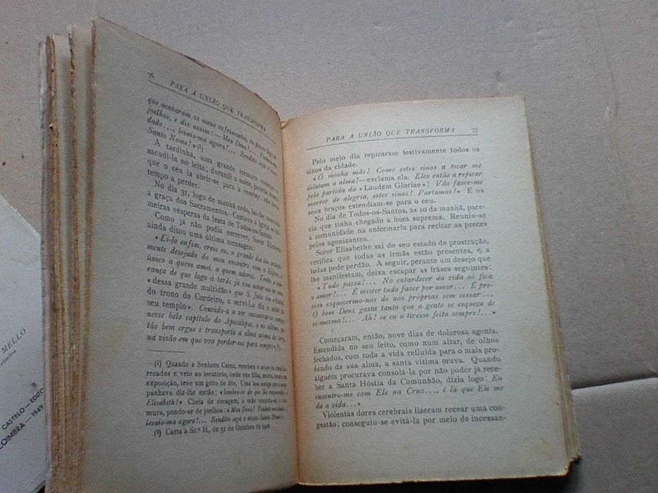 A doutrina espiritual de Soror Elisabeth da Trindade - volumes I e II