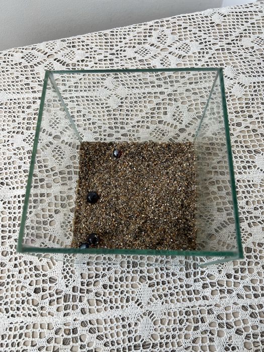 Акваріум квадратний