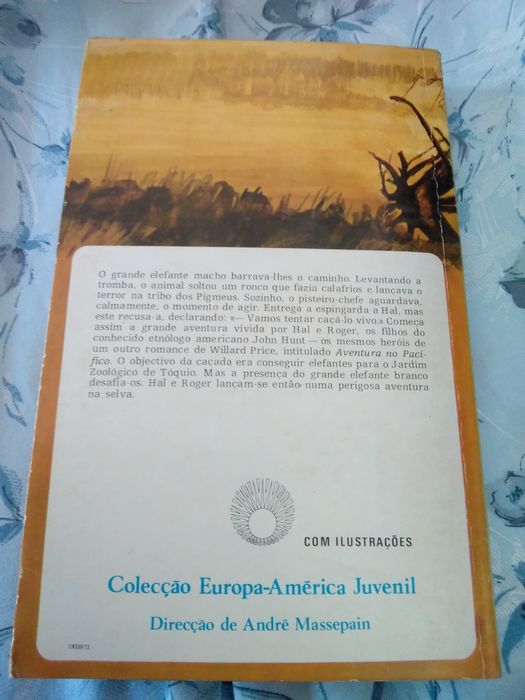 Aventura com os elefantes