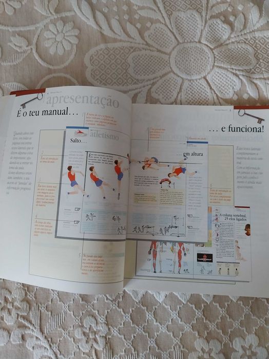 Manual de Educação Física, 2º Ciclo - 5º e 6º ano, Areal Editores