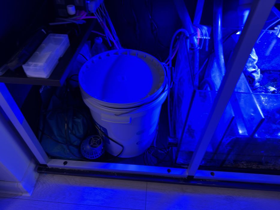 Akwarium morskie pełny zestaw