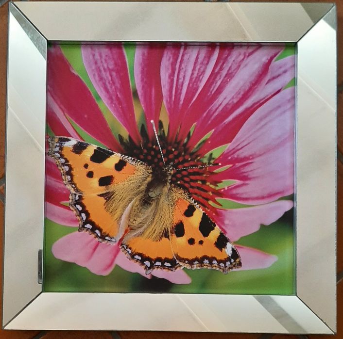 2 molduras forradas a espelho