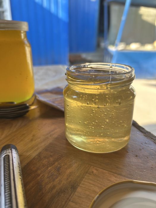 Акація 2025 мед