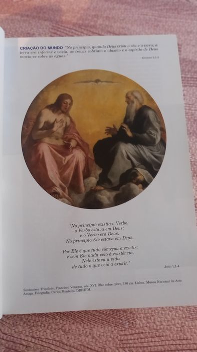 Biblia sagrada ilustrada.
