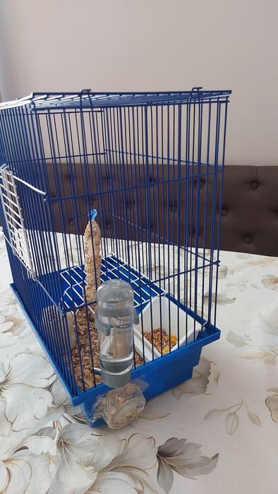 Джунгарський хом'як з кліткою