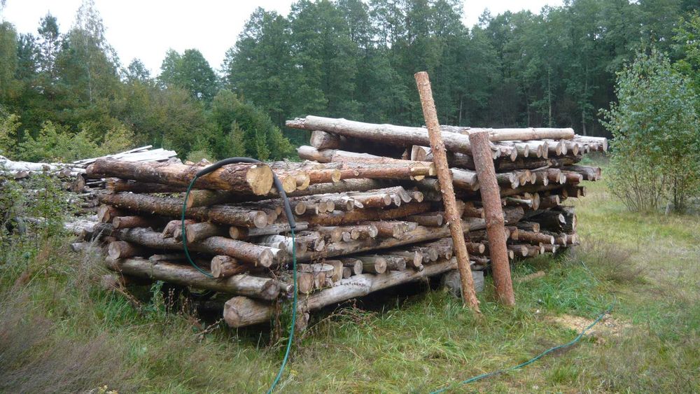 Drewno opałowe sosnowe opał sosna sucha wysezonowana