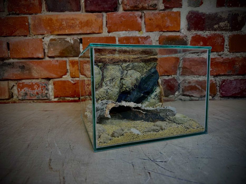 Terrarium szklane typu zawias z wystrojem AlleTerra