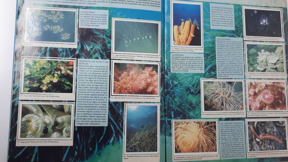 Caderneta de cromos completa O PLANETA AZUL