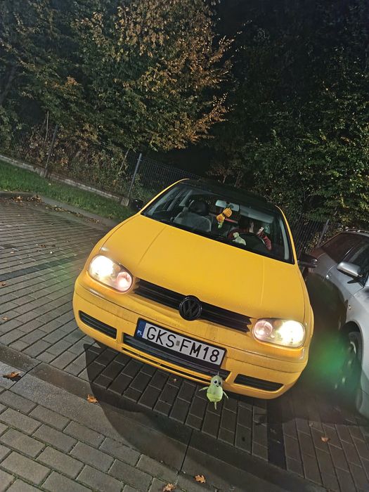 Golf 4 żółty więcej na pv