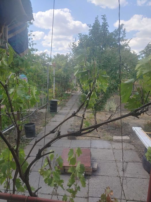 беседка на даче на сутки