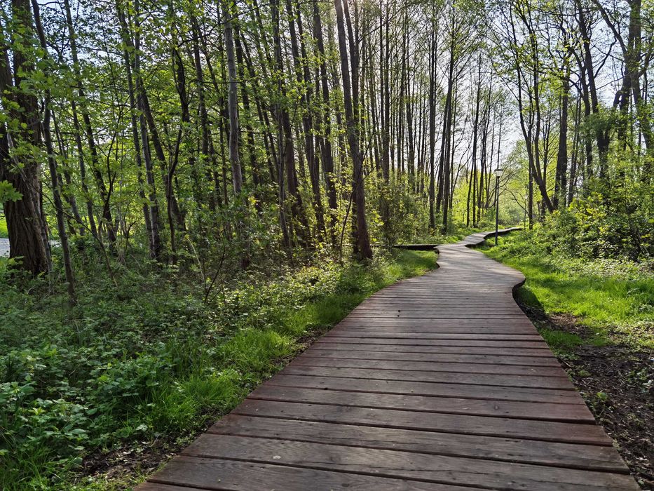 Apartament " Trzy Szczęścia "