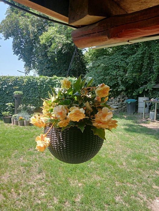 Doniczka wisząca Keter Sphere 35x35x22 cm, imitacja rattanu, antracyt