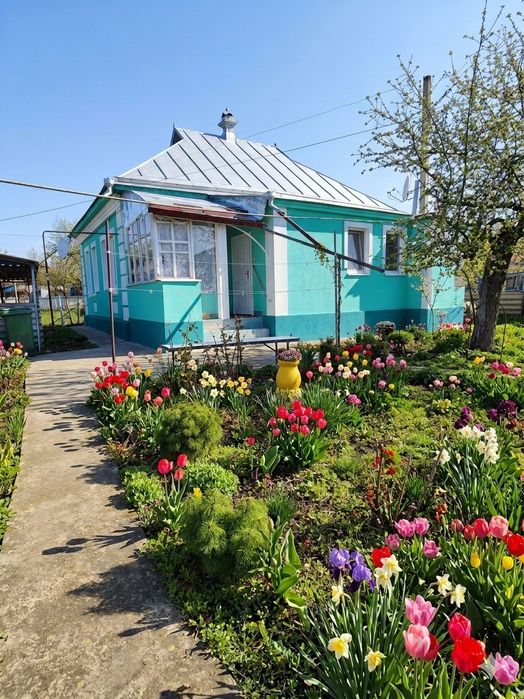 Продаж будинковолодіння в с.Петрівці Миргородського району