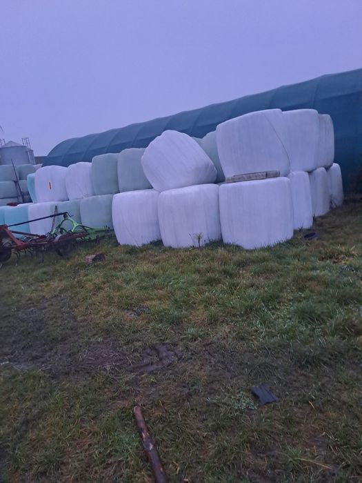 Sianokiszonka  2 pokos