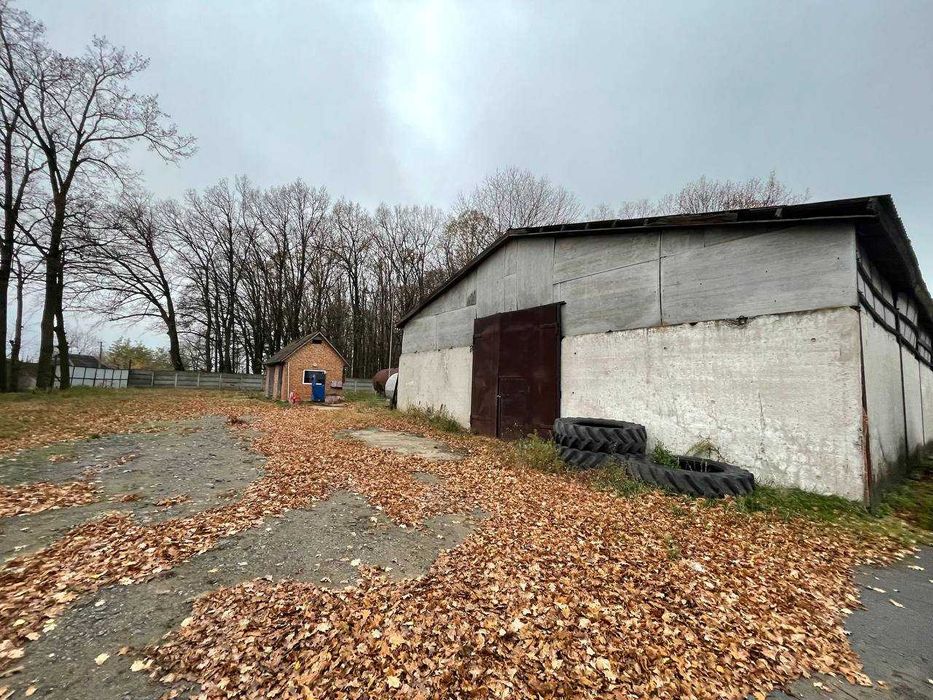 Продаж тракторна майстерня Вінницька обл. с. Нова Гребля (3 281,1 м2)