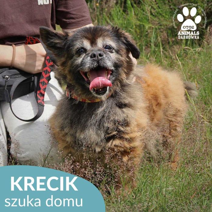 Krecik szuka domu!