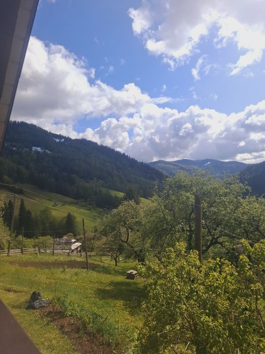 Котедж''у Марічки"