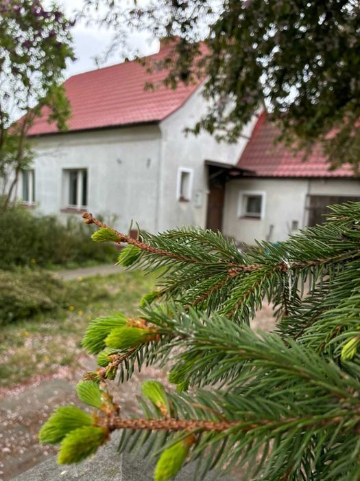 Dom jednorodzinny ul. Linki