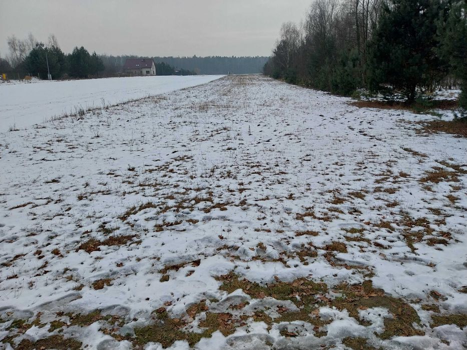 Działka budowlana w spokojnej okolicy | 3087 m2 | Borowiany