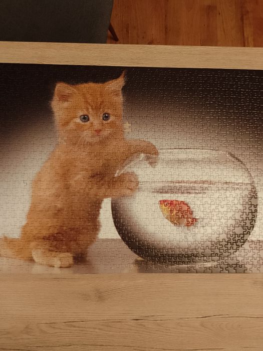 Puzzle 2x1000 sztuk Trefl