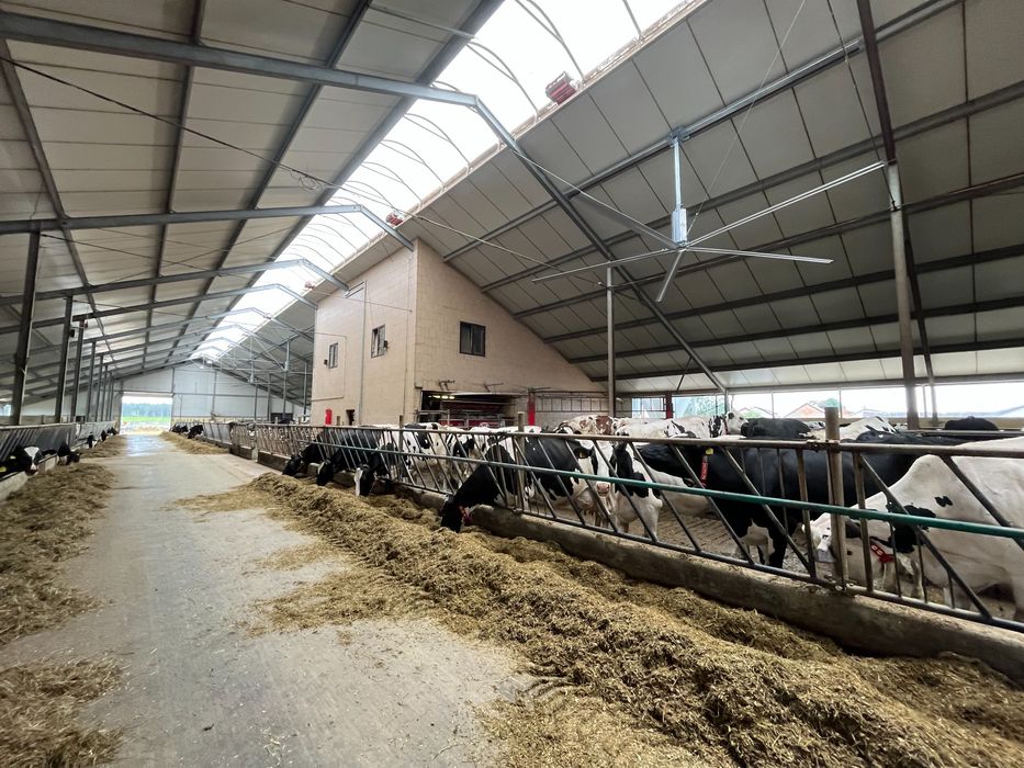 Wentylator TK HELI do obory, magazynu, przemysłu