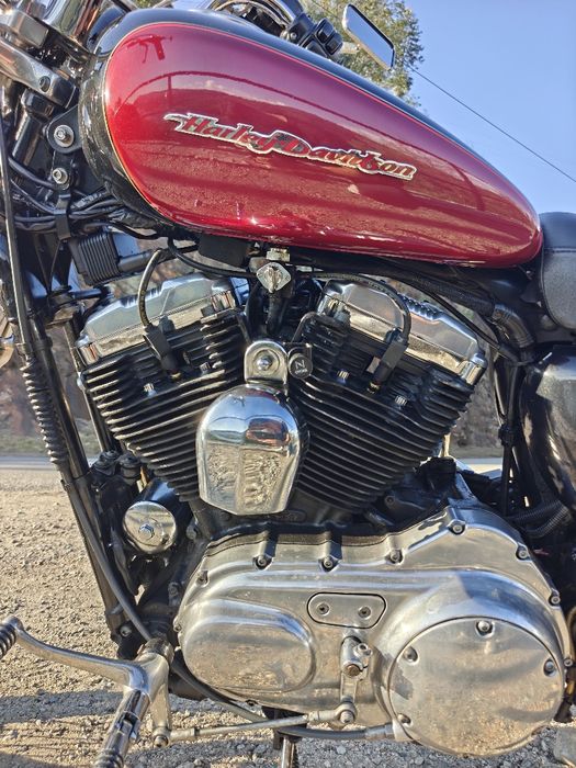 Harley Davidson Sportster 1200 xl