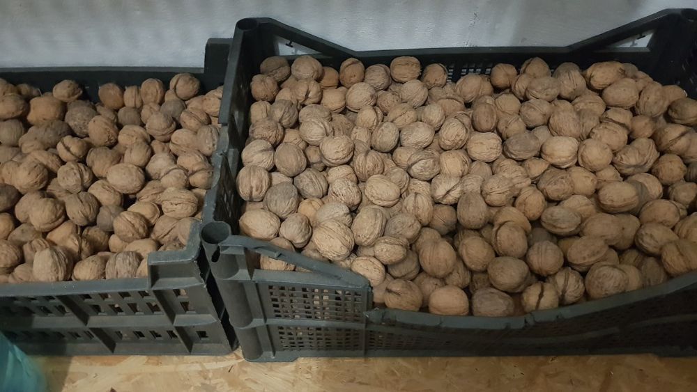 Обменяю или продам Мука