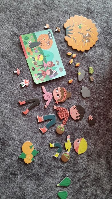 Magneti' book janod pory roku