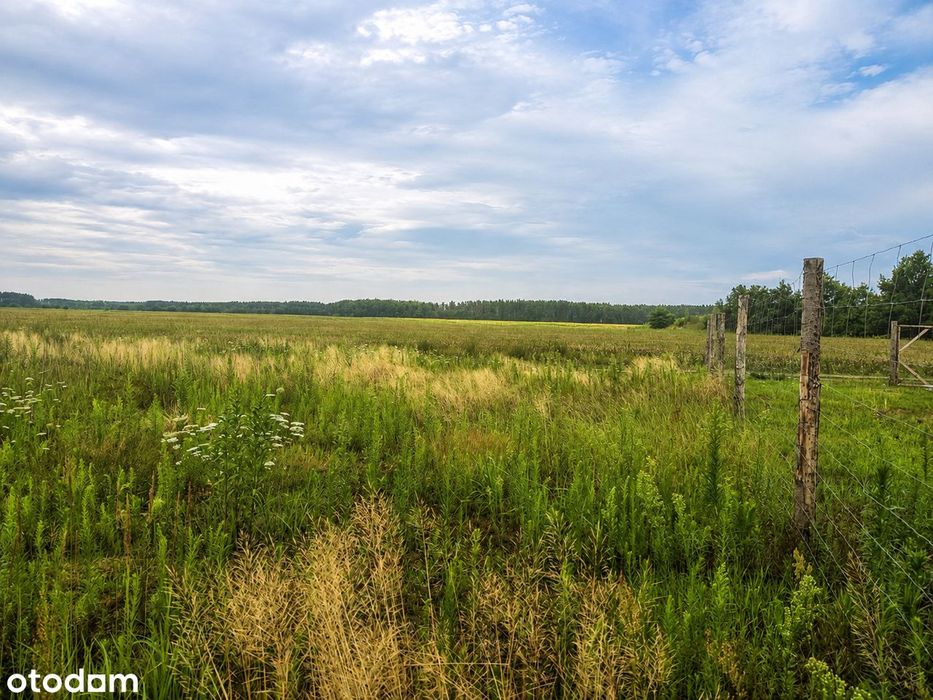 Działka 1000 m² | WZ | Kopalina | Jelcz-Laskowice | Bezpośrednio