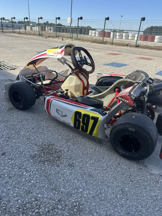 Kart BirelArt DD2