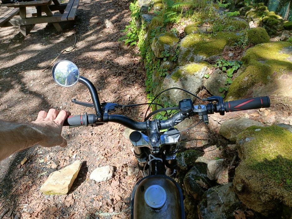 Bicicleta motorizada 100cc